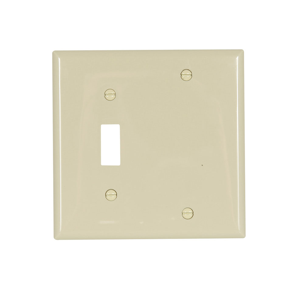 Eaton Combination wallplate, Ivory, Toggle, Blank Cutout, Nylon, Two- gang, Standard, ED Box