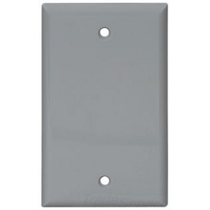 Eaton Blank wallplate, Gray, Blank Cutout, Nylon, Single- gang, Standard, ED Box