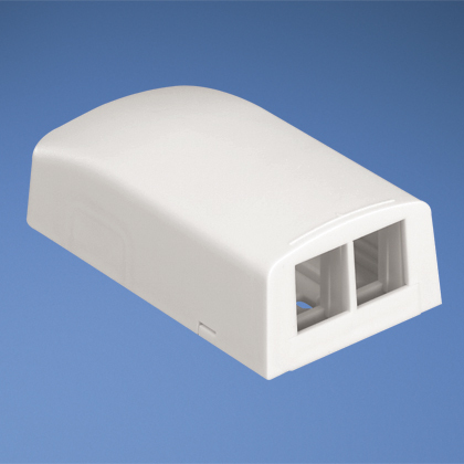 Product image for Panduit NK2BXEIA 2-Port Surface Box Ivory
