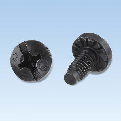 Product image for PAN RGTBSM6-C Bonding Screw, Black,