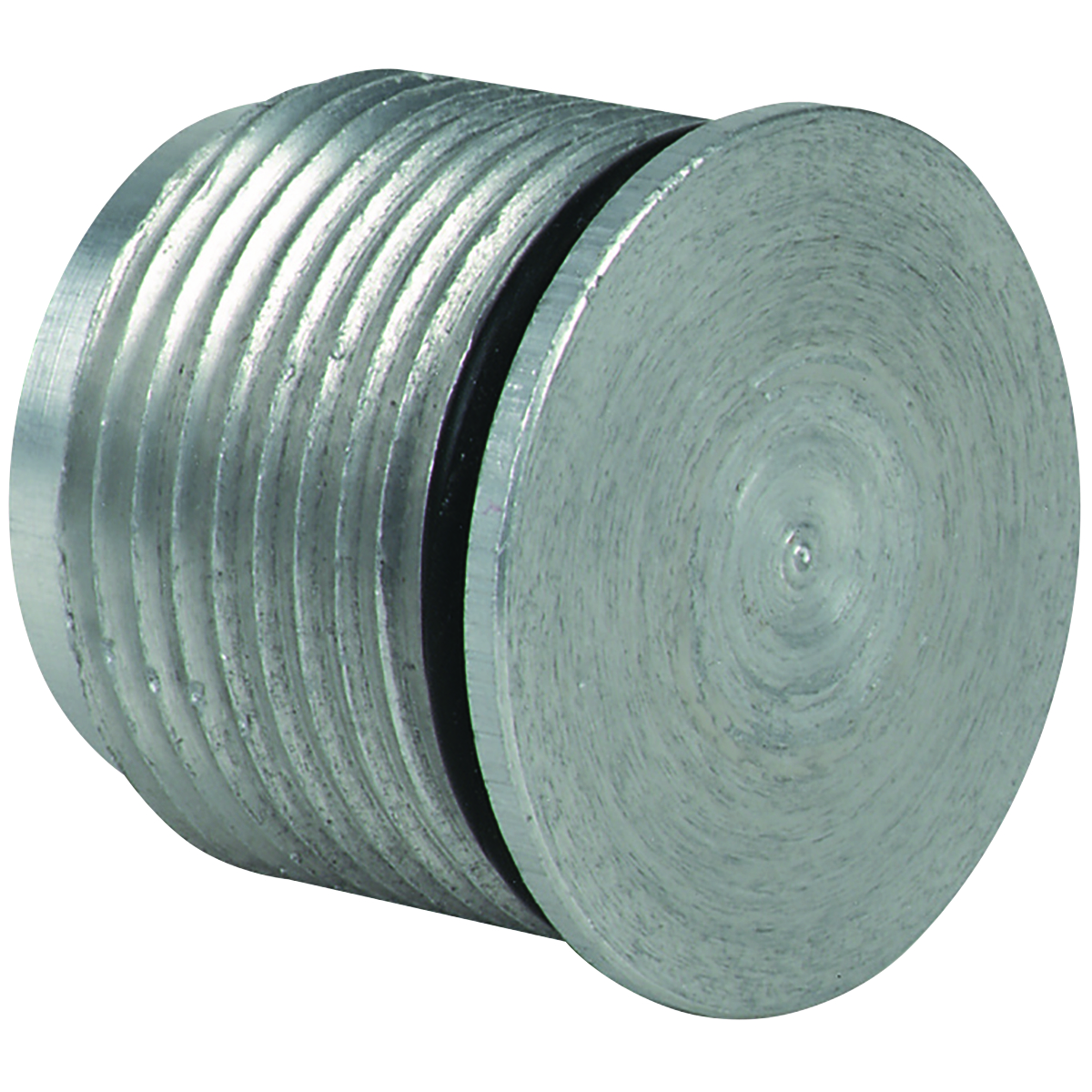 G SERIES - HOLE PLUG - 3/4 IN NPSM