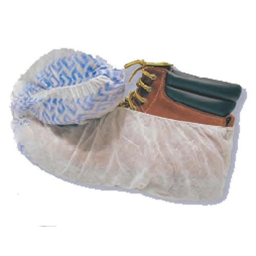 SCW10
