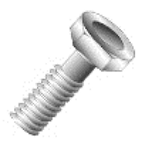 CULLY 74648 1/2-13 x 3" Cap Screws (Bolts), Hex Head, Type 18-8 Stainless Steel