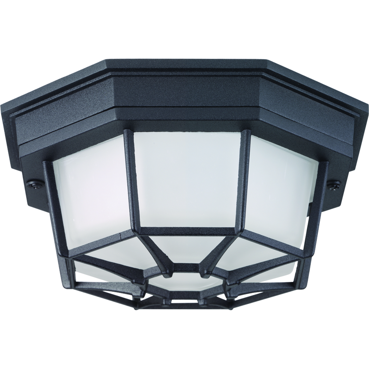 One-light 8-3/8 in LED flush mount with etched glass surrounded by a die-cast aluminum frame. Ideal for indoor and outdoor applications. Black finish.