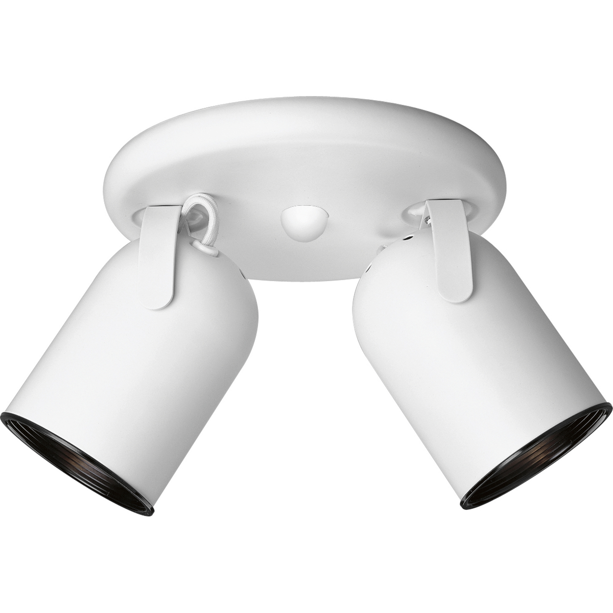 Two-light round back ceiling mount directional in White finish.