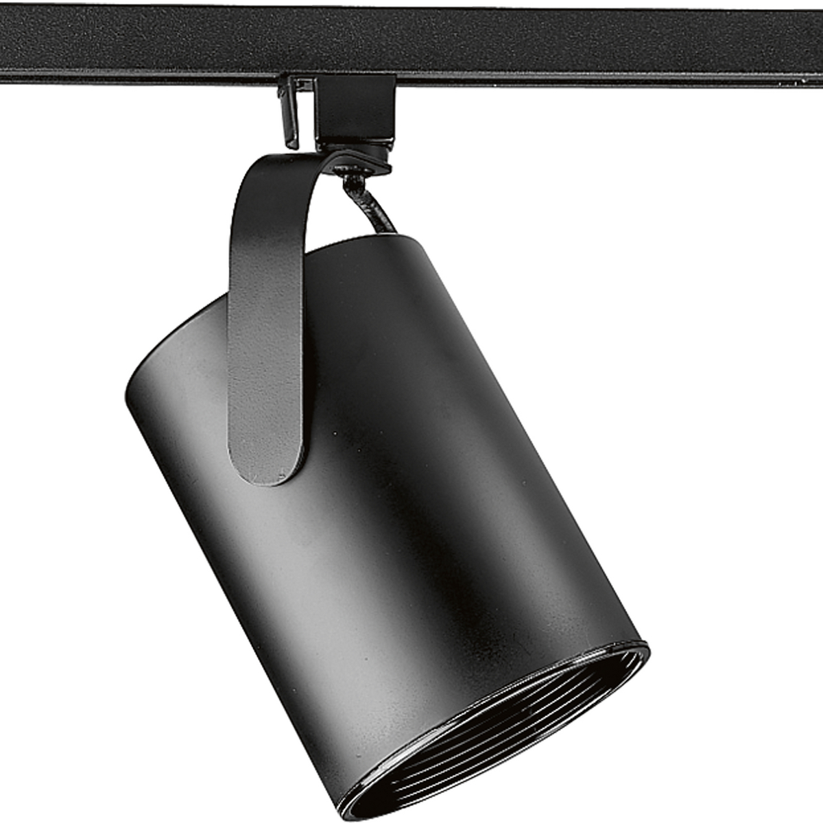 Black Flat Back Alpha Trak track head with 360 degree horizontal rotation and 90 degree vertical rotation and black baffle. Heads can be easily repositioned on the track to provide lighting in different areas of the room. Excellent for both residential and retail locations. Universal track head accepts medium base PAR 30 long neck or BR 30 bulb.