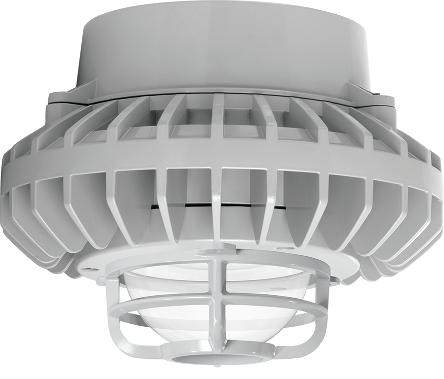 Hazardous, . LED 42W, 5000k, LED Pendant, Clear Globe Die Cast Gd Gray