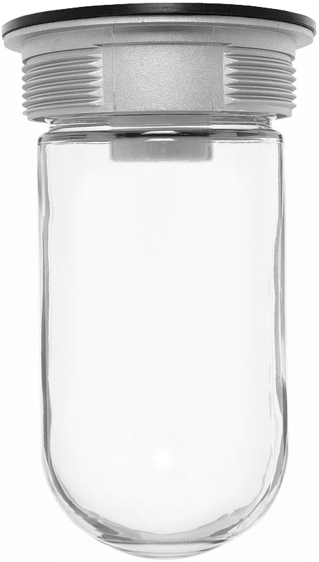 Vaporproof 100 Ceiling With Glass Globe