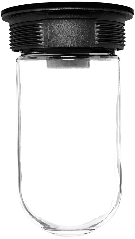 Vaporproof 200 Ceiling, Black With Glass Globe