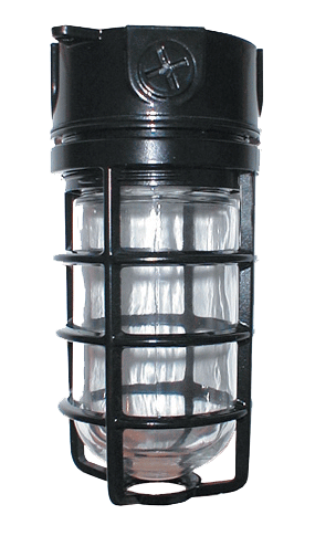 Vaporproof 100 Ceiling 4 Inch Box 1/2 Inch, Black Gl Globe Cast Gd