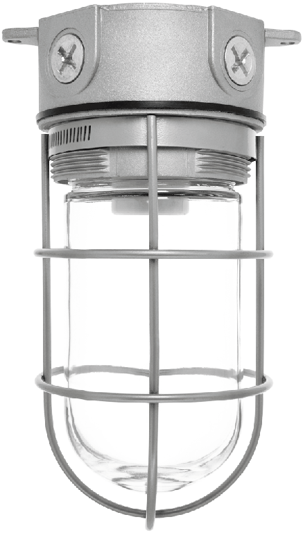 VX100G