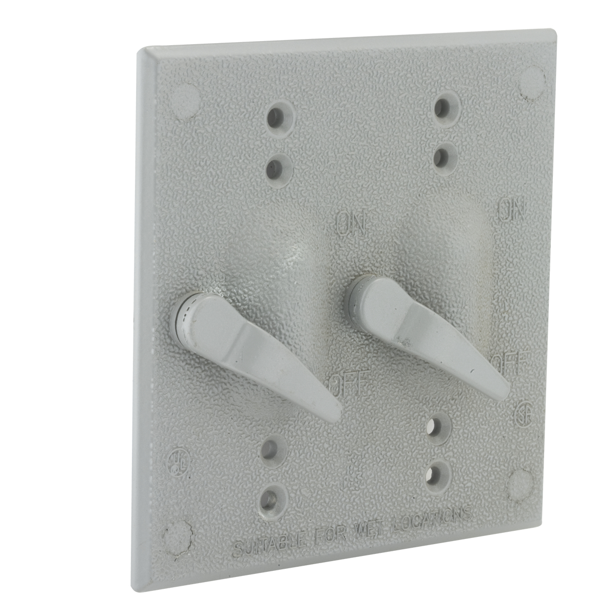 Two Gang Gray Device Mount Switch Cover, (2) SP 125V, 15A