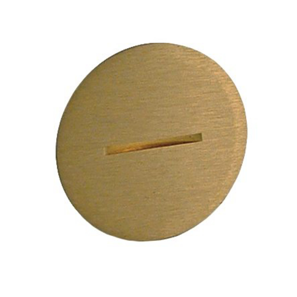 2-1/8 In. Flush Slotted Plug, Brass