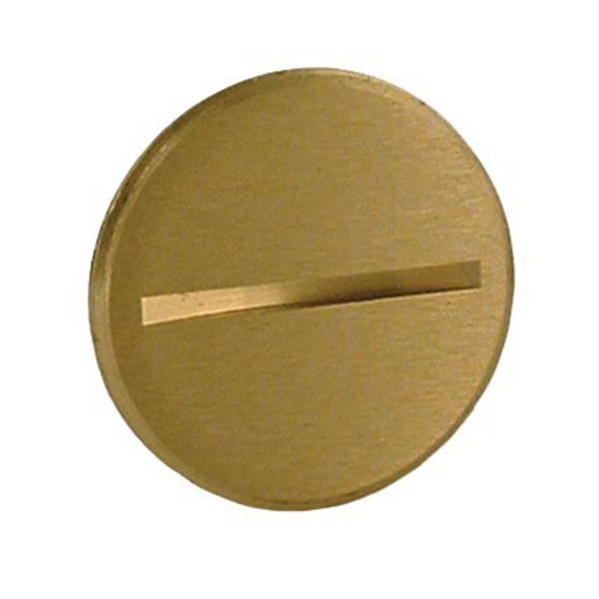 1 In. Crowned, Slotted Plug, Brass