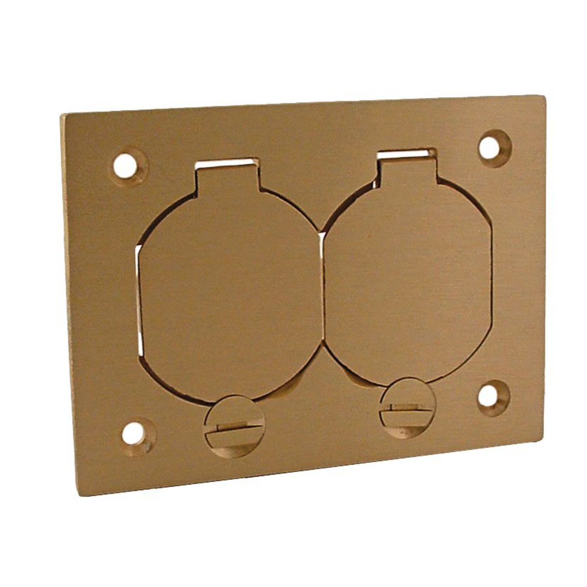 Brass Duplex Cover with Lift Lids