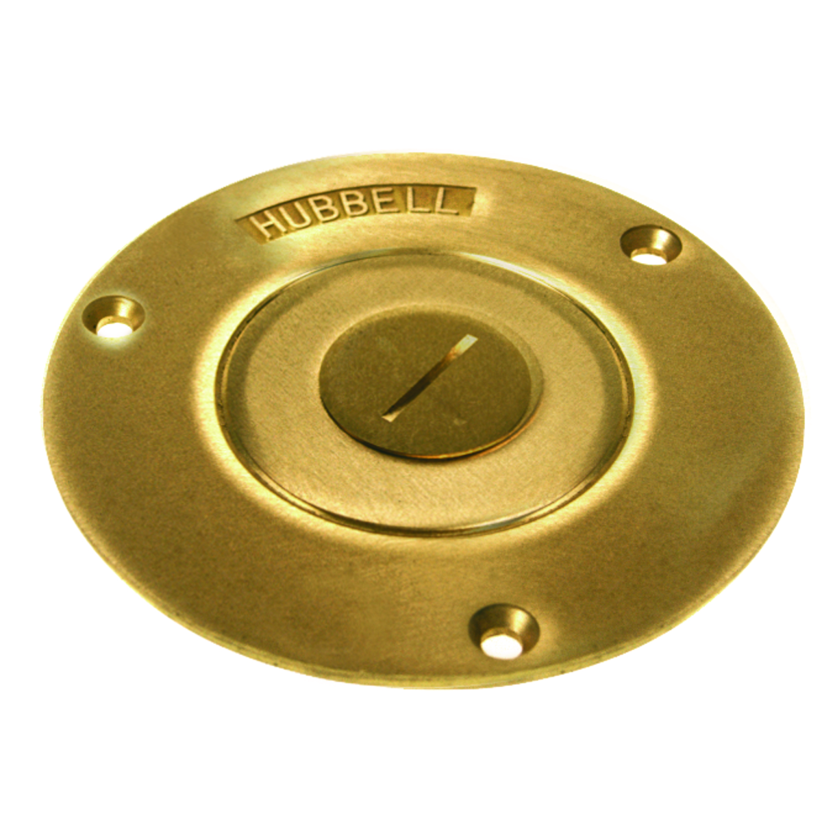 Brass Cover with 2-1/8 In. x 3/4 In. Combination Plugs, 3-7/8 In. Dia.,Round