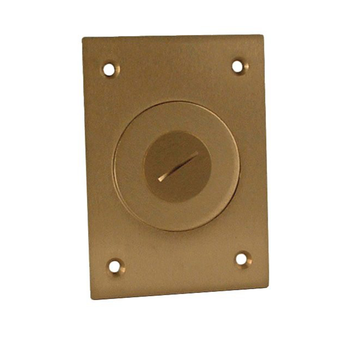 Brass Cover with 2-1/8 In. x 3/4 In. Combination Plugs