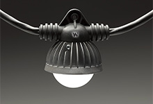 Product image for MOLE 123WR50-14W10515 LED STRING 50