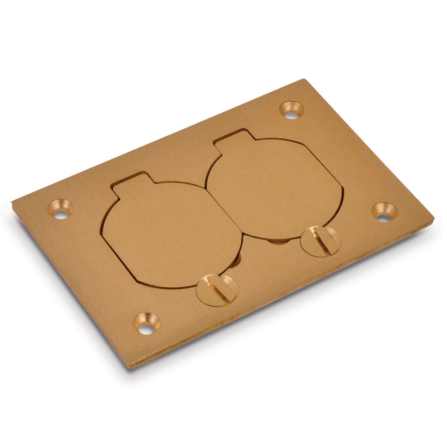 Product image for Steel City P-64-DS Brass Cover Plate