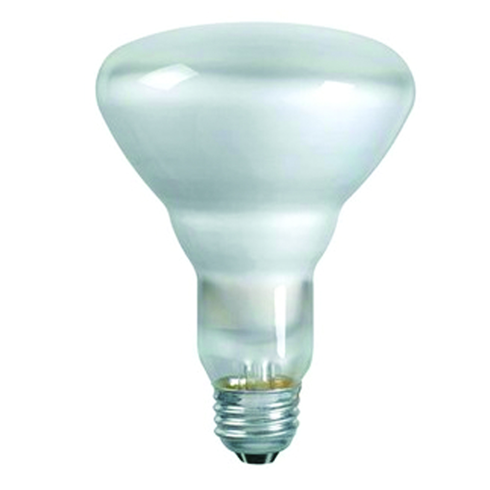 Product image for Shat-R-Shield 01222 65 W 130 Volt 100 CRI 2680 K 605 Lumen Medium Base BR30 PFA Coated Incandescent Lamp