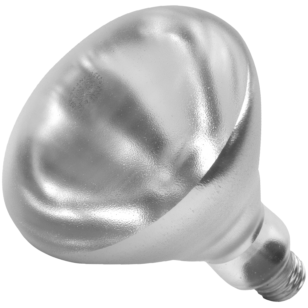 Product image for Shat-R-Shield 01697W 6.5 Inch 250 W 120 Volt 100 CRI 2700 K 1200 Lumen Medium Base R40 PFA Coated Incandescent Lamp