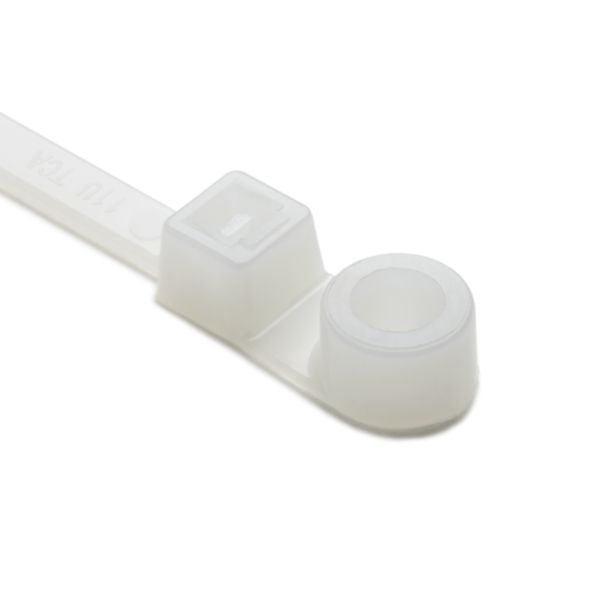 Product image for TYN T50ML9M4 T50ML PA66 NA 1000/BAG