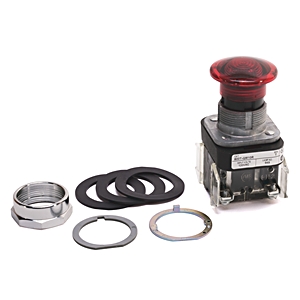 Product image for Allen-Bradley 800T-QM10 30 mm Momentary Push Button