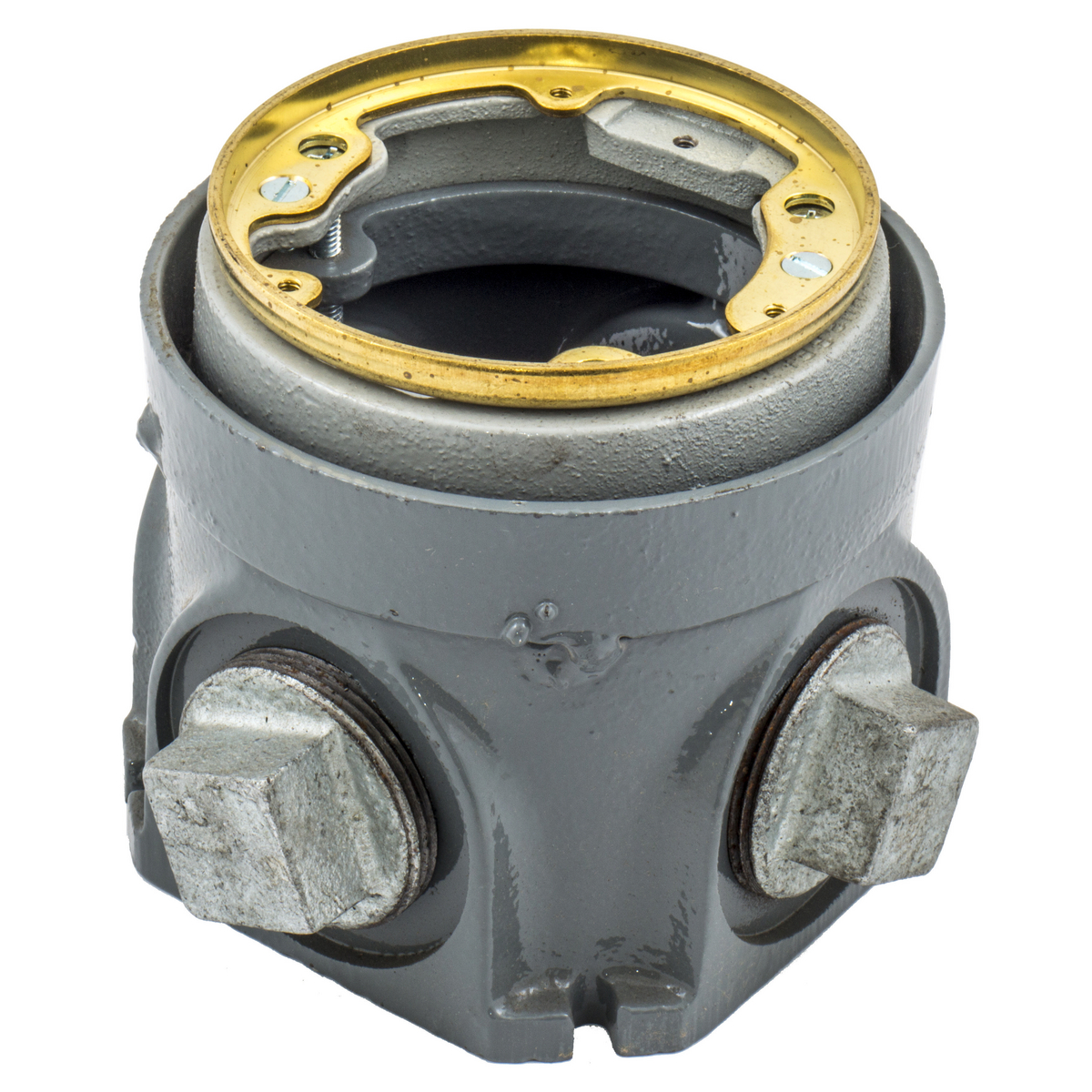 Product image for Hubbell B2506415 Round Metallic Floor Boxes, Deep Cast Iron, Fully Adjustable, Brass Top