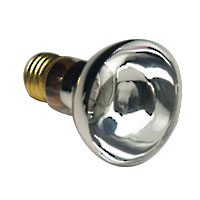R20CL100/12V