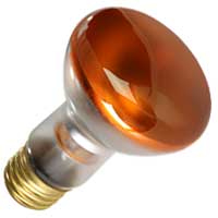 50W R20 AMB 130V