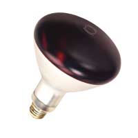 250W R40 RED 120V CSTF