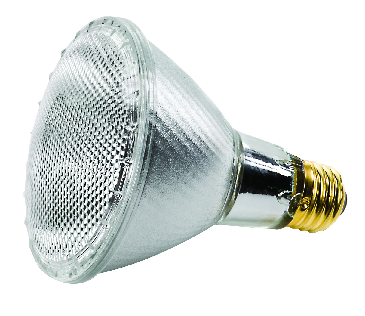 60W PAR30L SP 120V E26 SILVER HX