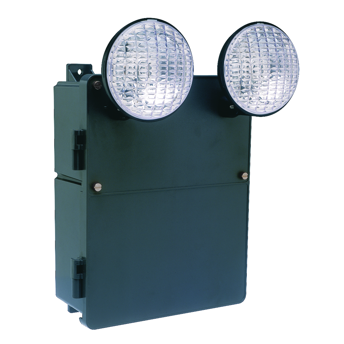 Product image for Hubbell Lighting N4X2 15 W 6 V Charcoal Gray PAR36 Sealed Beam Incandescent Explosionproof Emergency Light Unit