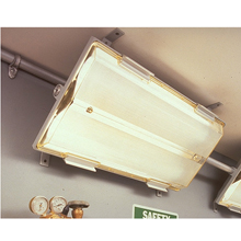 Product image for CRSH FVS20/UNV 40W FLUOR LGR TWINTU