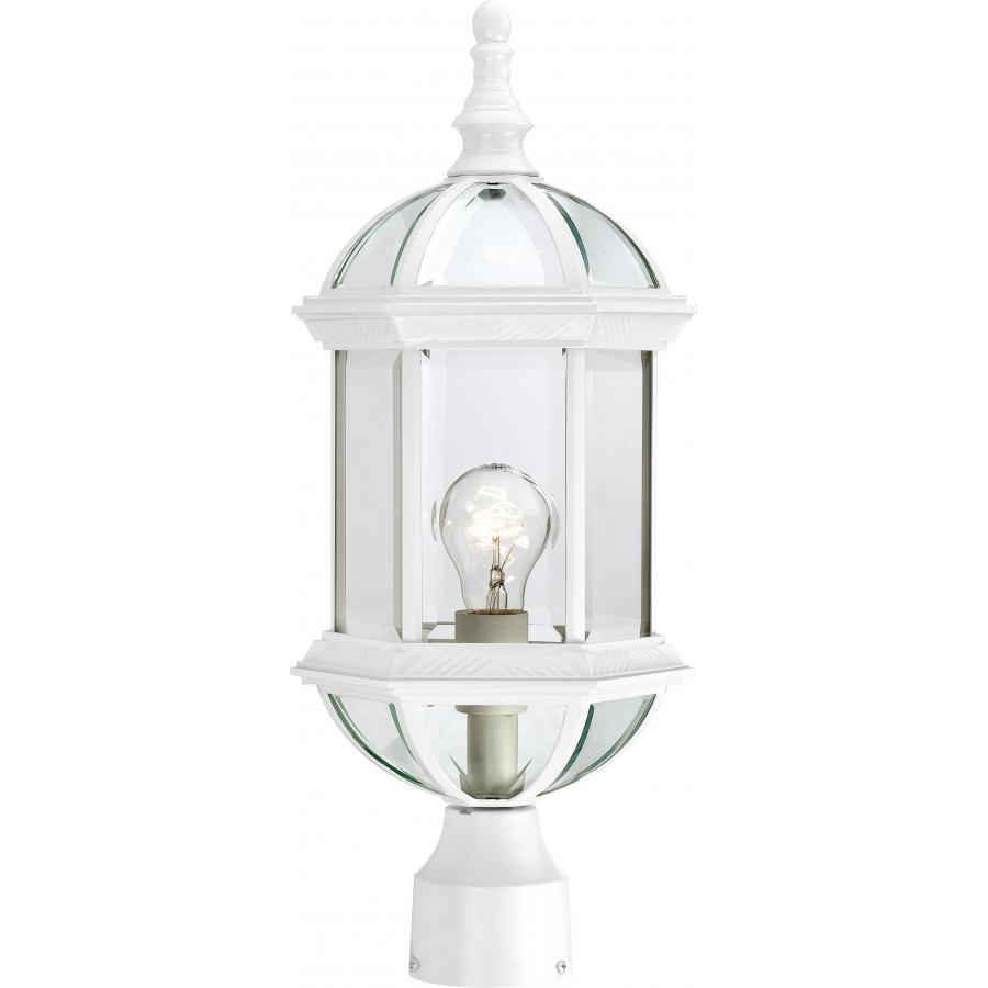 Boxwood 1 Light 19