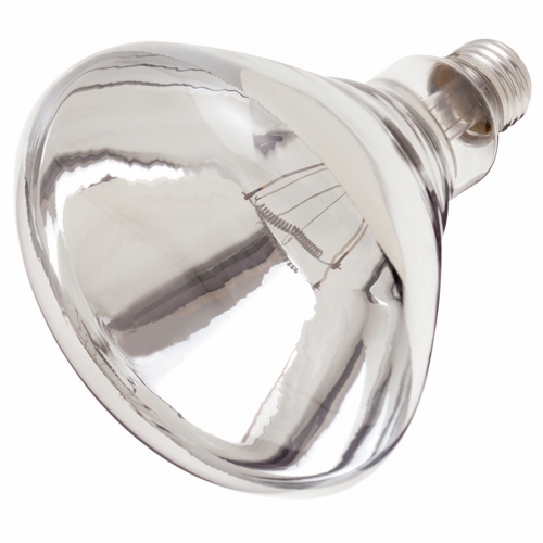 Shatter Resistant Lamps