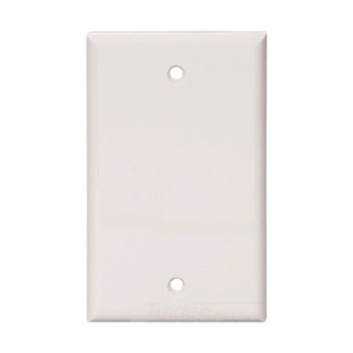 Eaton Blank wallplate, White, Blank Cutout, Nylon, Single- gang, Standard, ED Box