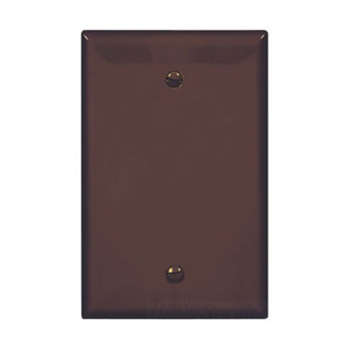 Eaton Blank wallplate, Box mount, Brown, Blank Cutout, Polycarbonate, Single- gang, Mid-size
