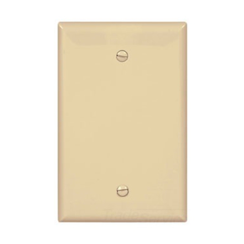 Eaton Blank wallplate, Box mount, Ivory, Blank Cutout, Polycarbonate, Single- gang, Mid-size