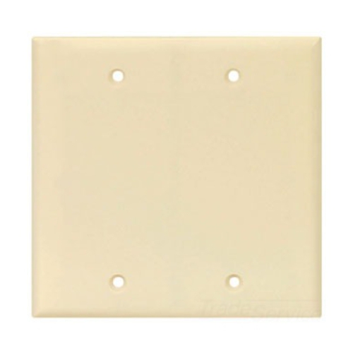 Eaton Blank wallplate, Box mount, Almond, Blank Cutout, Polycarbonate, Two- gang, Mid-size