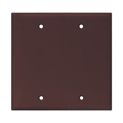 Eaton Blank wallplate, Box mount, Brown, Blank Cutout, Polycarbonate, Two- gang, Mid-size