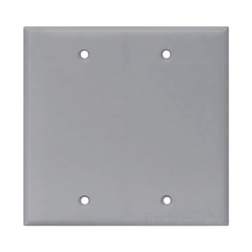 Eaton Blank wallplate, Box mount, Gray, Blank Cutout, Polycarbonate, Two- gang, Mid-size