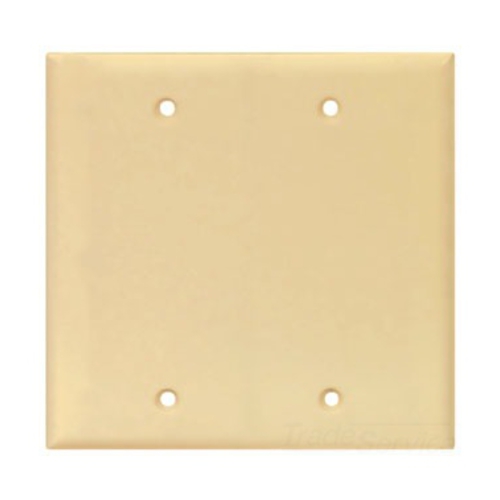Eaton Blank wallplate, Box mount, Ivory, Blank Cutout, Polycarbonate, Two- gang, Mid-size